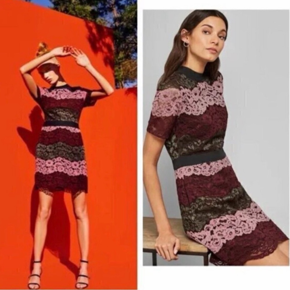 Ted Baker Pink and Burgundy Lace Stripe Dress